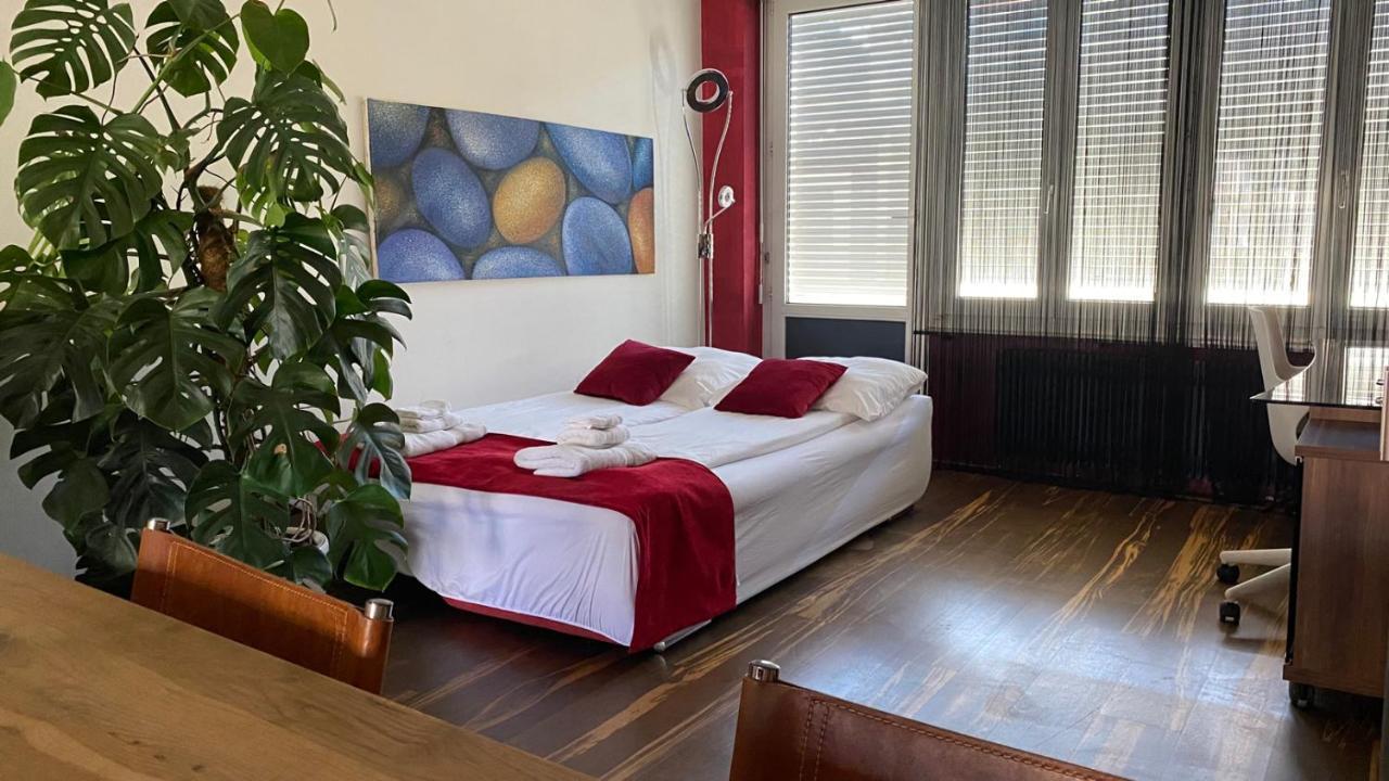 Special Retreat Apartment & Home-Office & Workplace بازل المظهر الخارجي الصورة